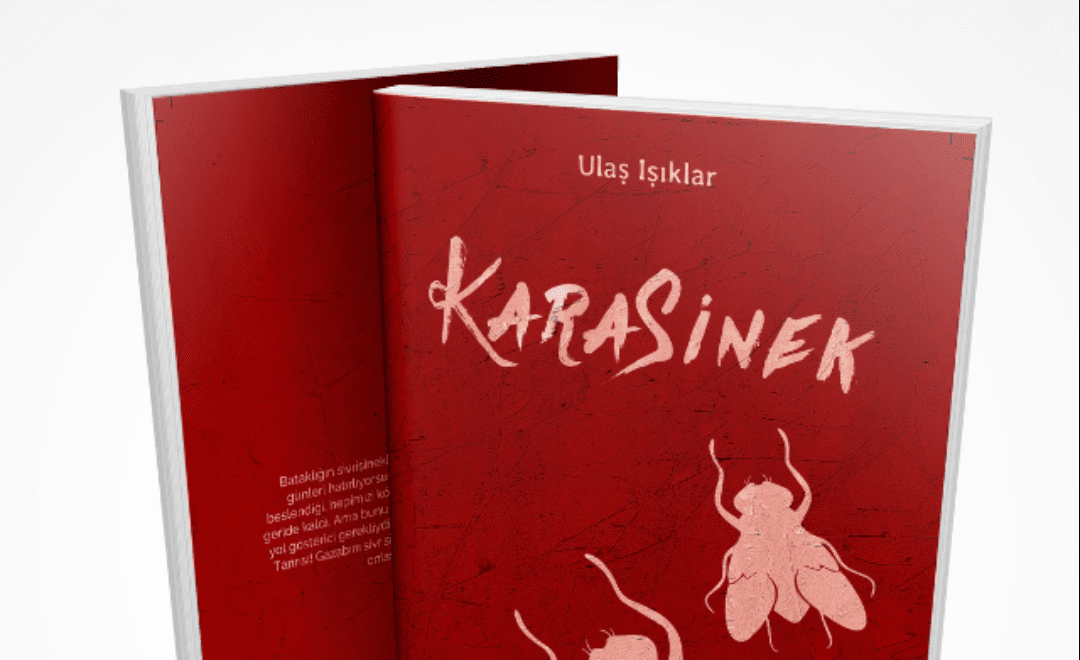 Ulaş Işıklar’dan yeni roman: Karasinek