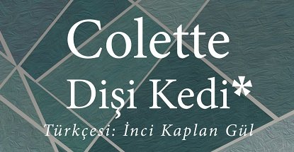 Dişi Kedi - Colette