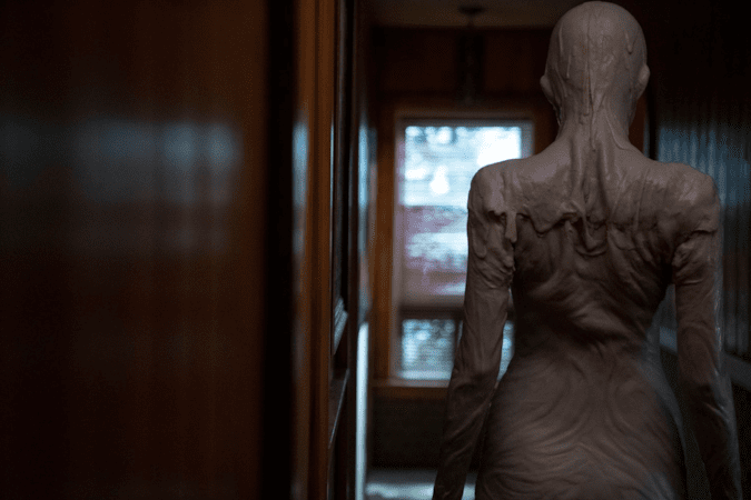 Cabinet Of Curiosities